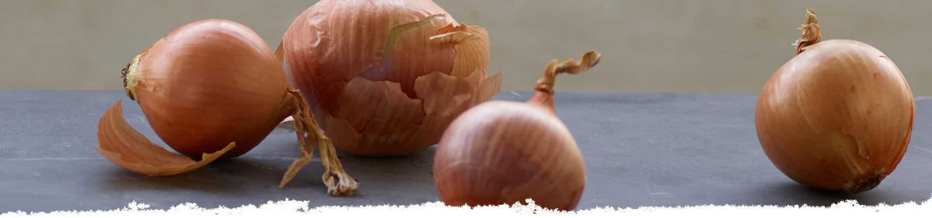 Cutting onions without crying