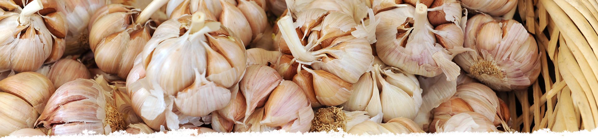 Storing garlic
