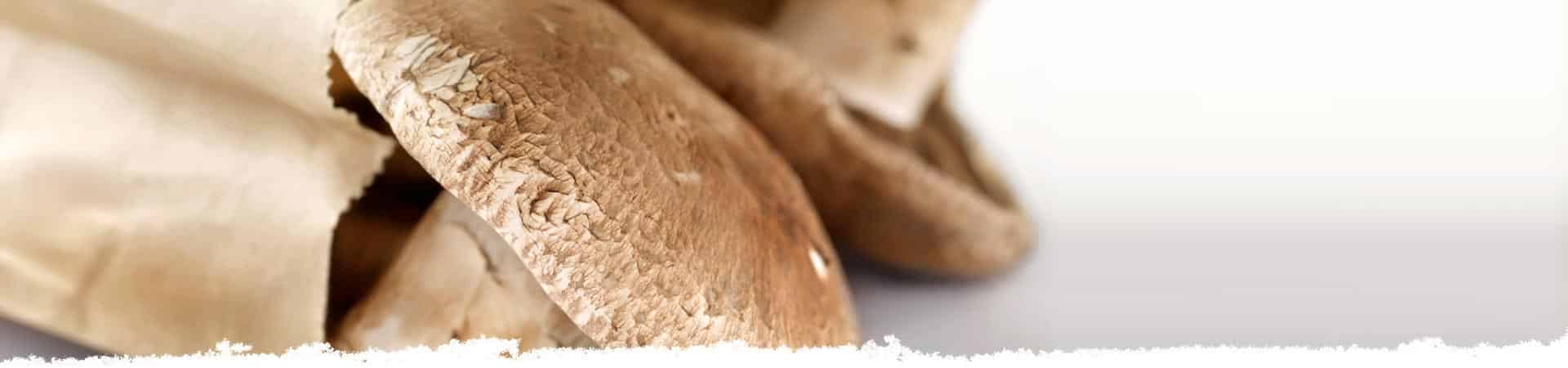 Storing portobello mushrooms