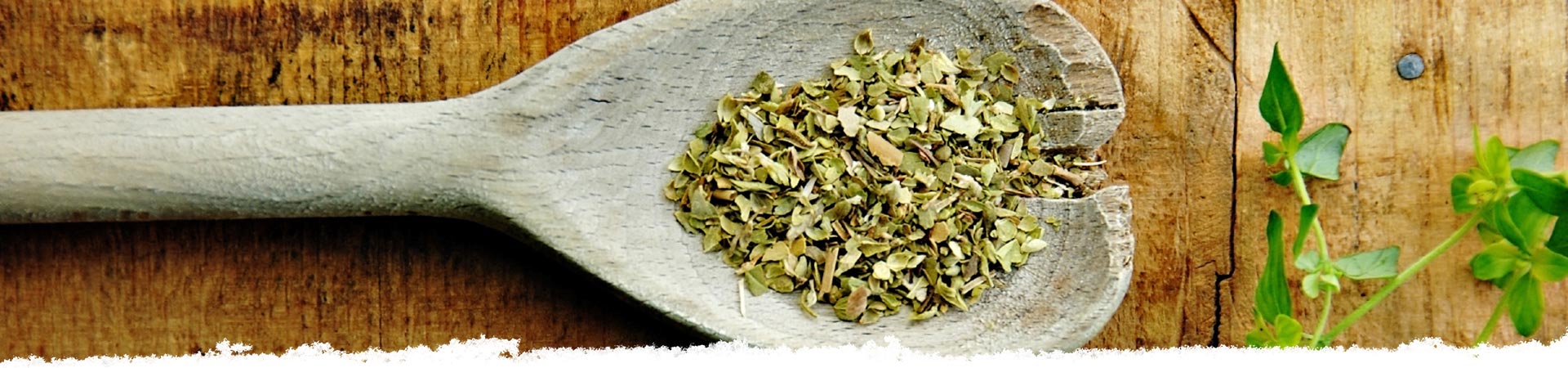 Selecting Oregano