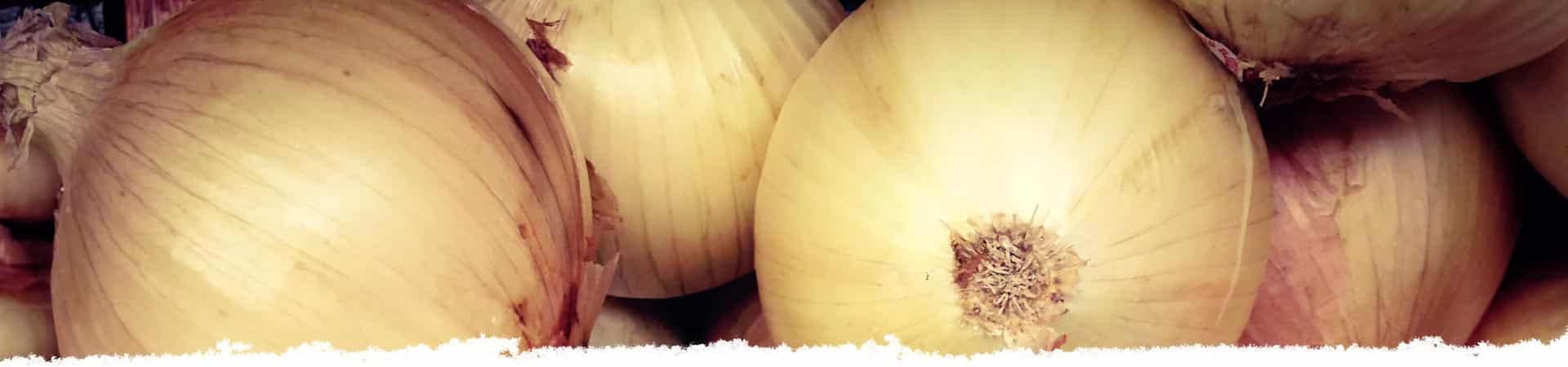 Sweet Vidalia onions