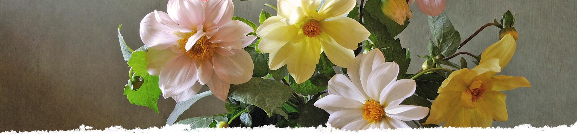 The Language of Flowers