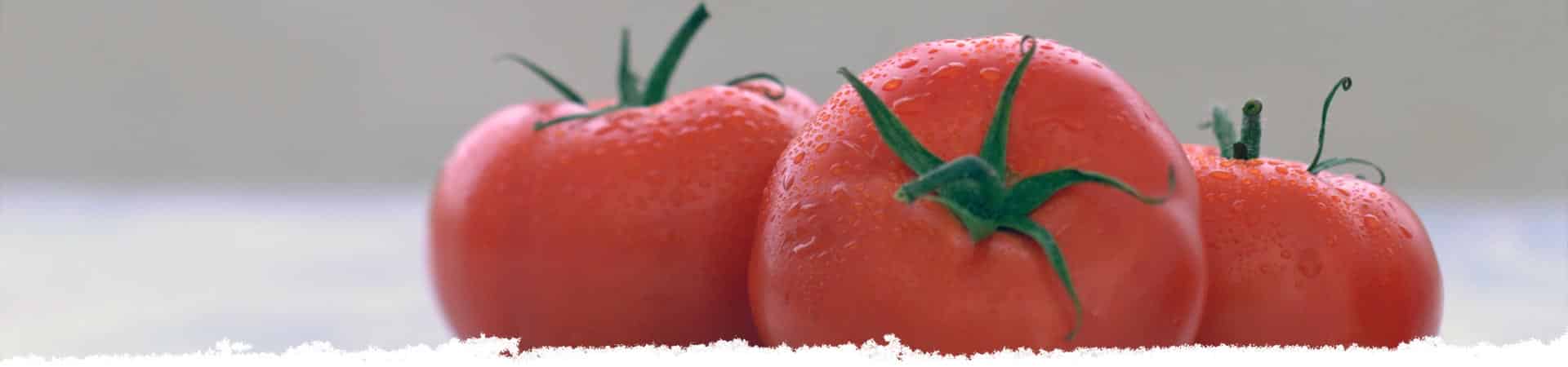 Pick the Perfect Tomato