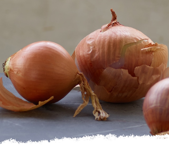 Cutting onions without crying