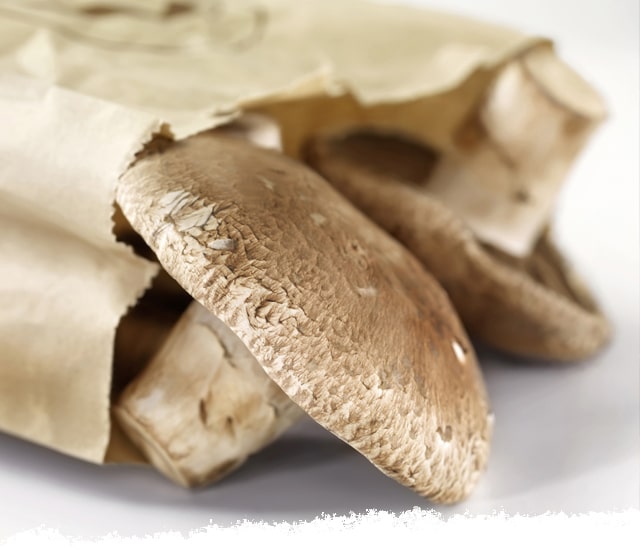 Storing portobello mushrooms