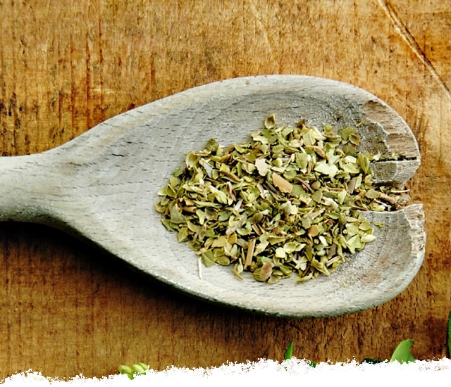 Selecting Oregano