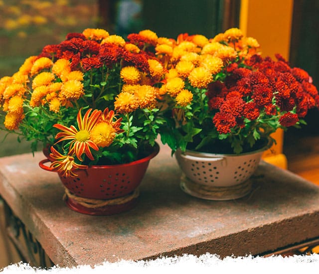Colander Center Piece