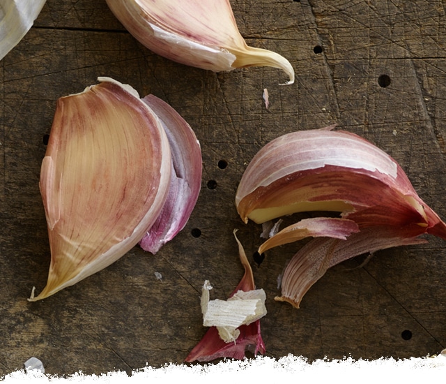Picking Garlic