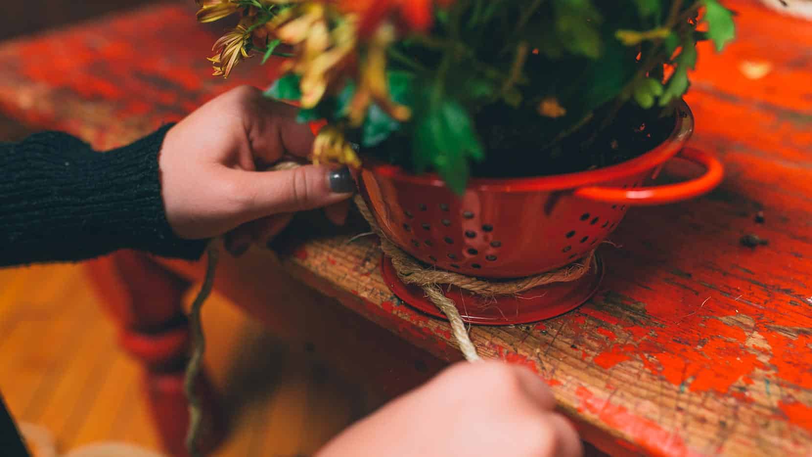 Appropriately transfer potted plants from container to colander <br />
<br />
Add any pieces of flair you desire (we added some twine around the bottom)