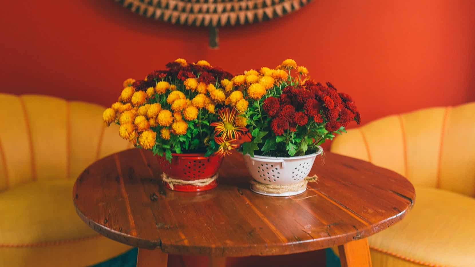 Place in center of table or on shelves and admire!