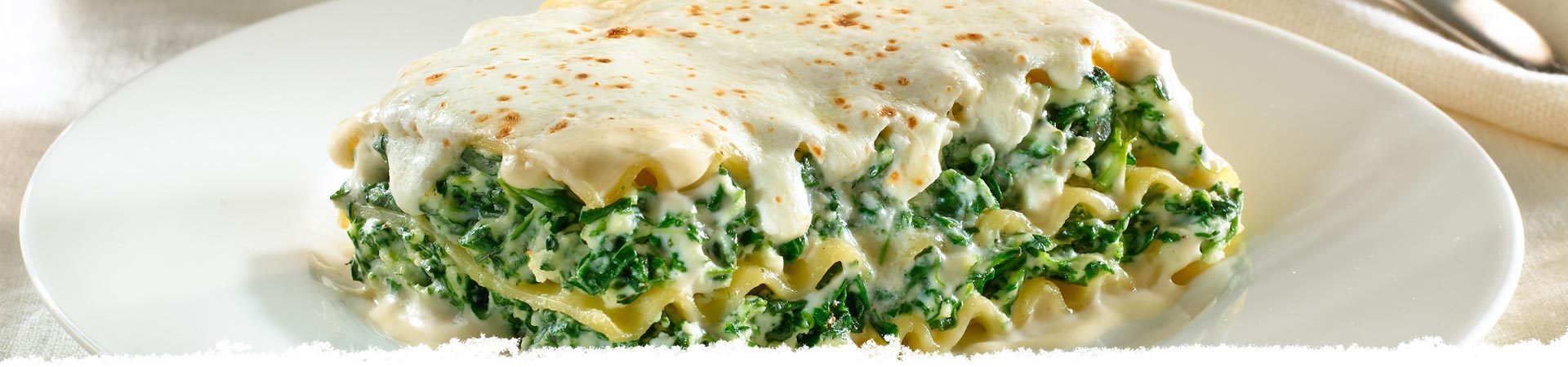 Alfredo Florentine Lasagna