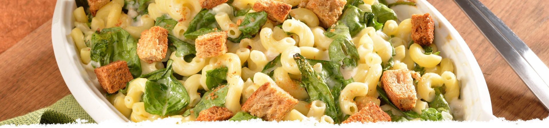 Alfredo Florentine Macaroni