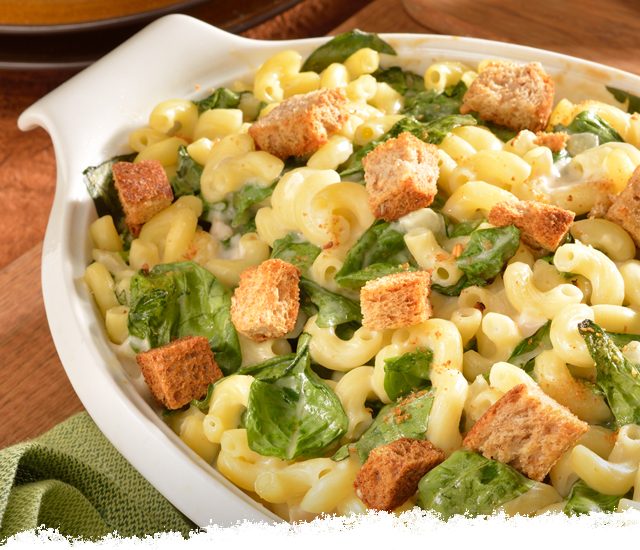 Alfredo Florentine Macaroni