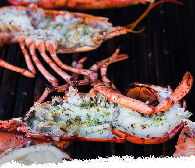 Chimichurri Grilled Lobster