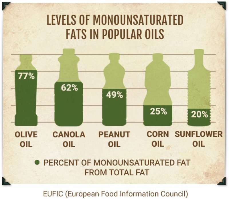 Healthy Fats Chart