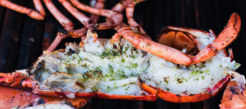 Chimichurri Grilled Lobster