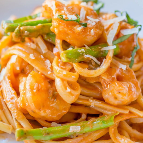 Shrimp Alfredo Pasta Recipes Bertolli