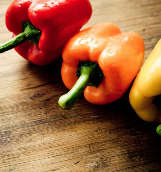 Creamy Salmon Alfredo Recipe Bertolli